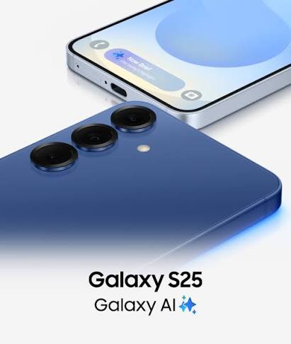 Samsung Galaxy S25 256GB